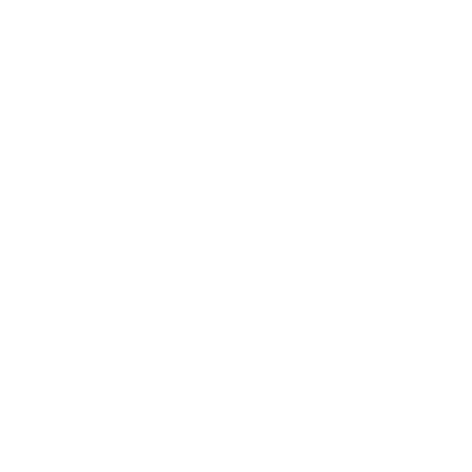 SanicPro